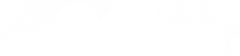 VerdeFortis Bodenbooster